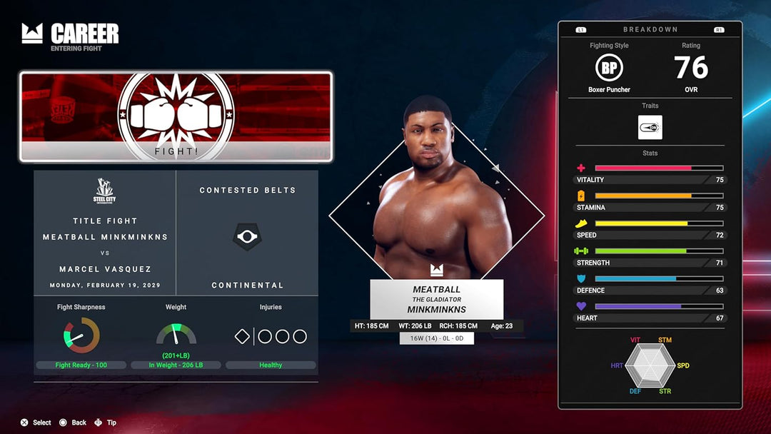 Undisputed: Deluxe WBC Edition (Xbox Series X)