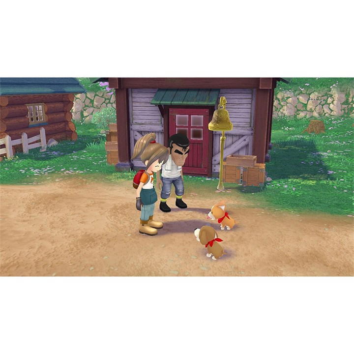 Story of Seasons: A Wonderful Life Limited Edition