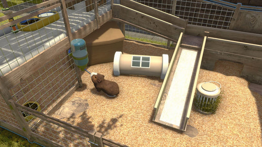 House Flipper - Pets Edition (PlayStation 4)