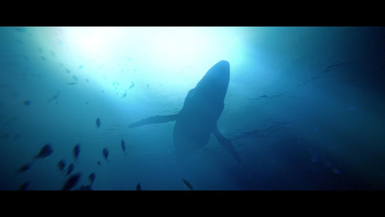 Under The Waves (PlayStation 4)