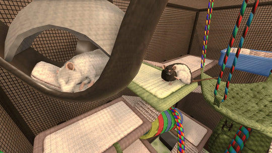 House Flipper - Pets Edition (PlayStation 4)