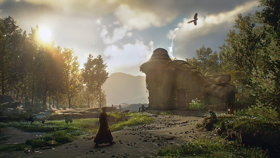 Hogwarts Legacy (PlayStation 5)