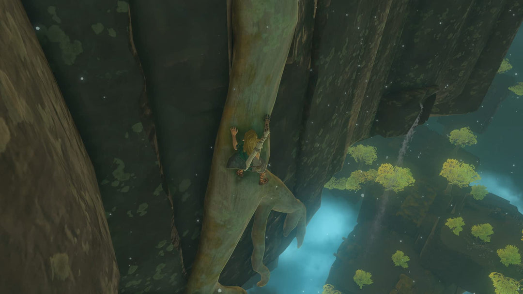 Zelda: Tears of the Kingdom Collector&