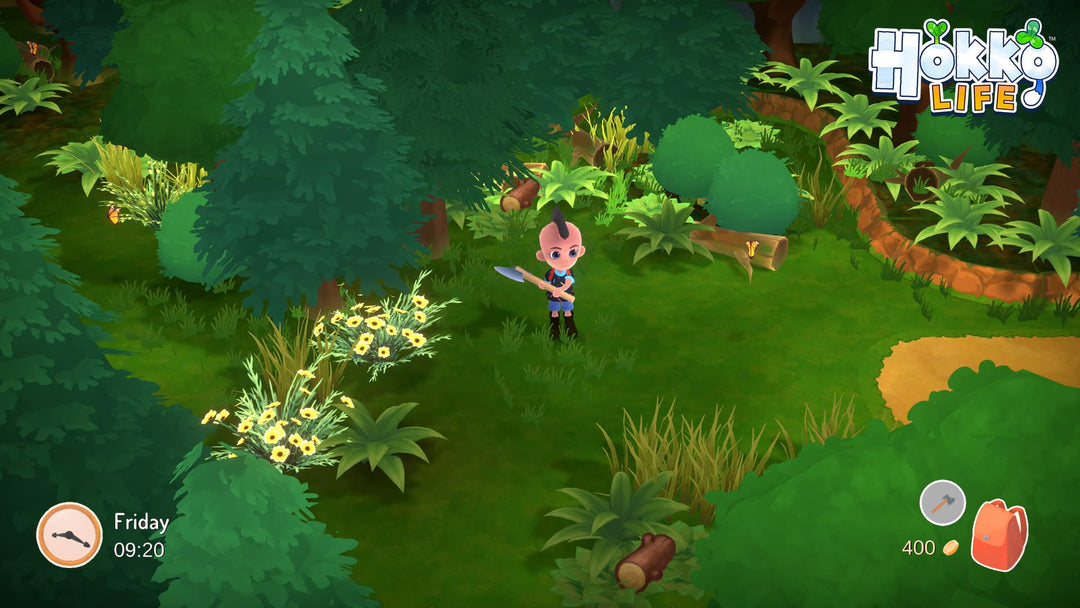 Hokko Life (Xbox One)