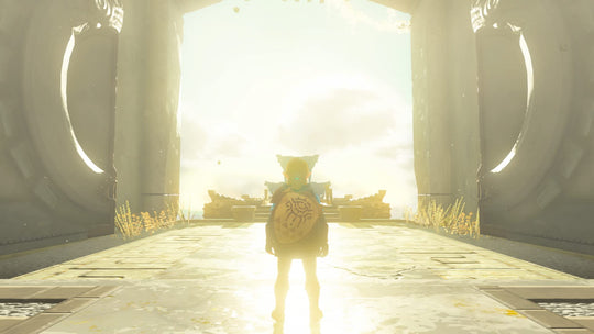 Zelda: Tears of the Kingdom Collector&
