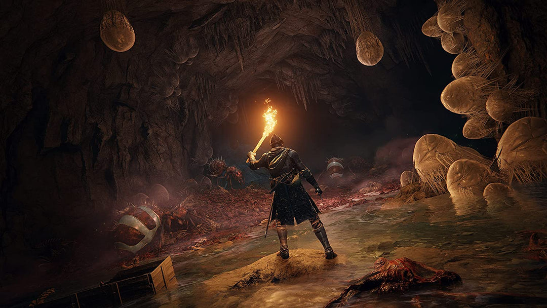 Elden Ring (PlayStation 4)