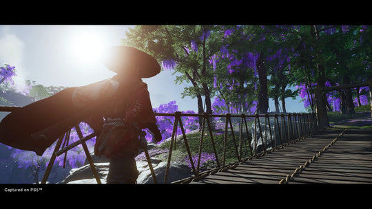 Ghost of Tsushima: Director&